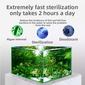 Lampe germicide submersible UV spéciale pour <span class=keywords><strong>aquarium</strong></span>, lampe de désinfection pour <span class=keywords><strong>aquarium</strong></span>, lampe UV pour éliminer les <span class=keywords><strong>algues</strong></span> dans les étangs à poissons, purification de l'eau - Product Image 6