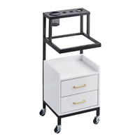 Chariot à outils multifonctionnel roulant, meuble de rangement latéral doré pour maquillage, valise organisatrice pour salon de beauté