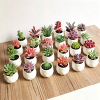 Mini bonsaï artificiel créatif, fausse plante succulente, ornement de bureau, petite plante en pot simulée pour la décoration de la maison et de la table