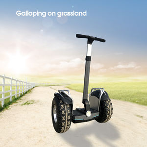 <span class=keywords><strong>Gyropode</strong></span> 3000w avec grande roue de 19 pouces, scooter électrique tout-terrain auto-équilibré, scooter sportif à deux roues - Product Image 2