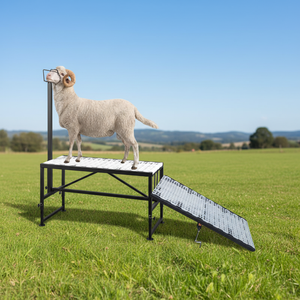 แท่นรีดนมและตัดขนแพะแบบปรับระดับได้ JH-Mech แท่นตัดขนสัตว์โลหะ แท่นรีดนมแพะปรับระดับความสูงได้ - Product Image 1