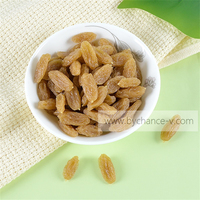Raisin artificiel en plastique, imperméable et durable, accessoire de présentation pour la photographie culinaire, la décoration de la maison et de la cuisine, et les fournitures pédagogiques scolaires
