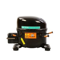 Compresseur de réfrigération haute efficacité utilisant le réfrigérant R290, fourni par l'usine pour les déshumidificateurs, les réfrigérateurs et les entrepôts frigorifiques