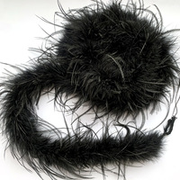 Plume de phénix bande de plumes d'autruche personnalisable matière plastique quatre saisons unisexe vente en gros bricolage vêtements accessoires