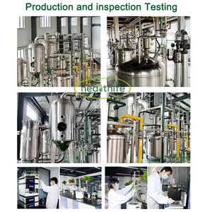 Axit selacholeic axit Cis-15-Tetracosenoic Acer truncatum chiết xuất hạt giống nervonic axit bột 90% nervonic axit - Product Image 5