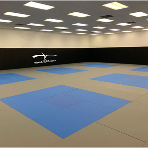 Protecteurs muraux de Taekwondo longue durée Crash Cushion Tapis mural de gymnastique - Product Image 2
