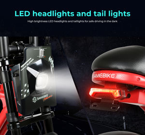 Moteur à grande vitesse vers le bas Tube batterie au Lithium pédale assistance vélo électrique 20 pouces gros pneu vélo électrique - Product Image 5