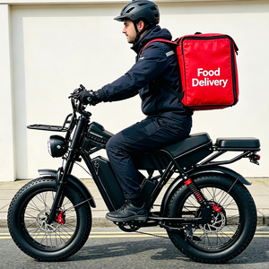 Vélo électrique de livraison à emporter directement de l'usine, 52V40Ah, double batterie, suspension intégrale, frein à disque hydraulique, vélo électrique pour adultes - Product Image 1