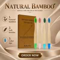 Brosses à dents écologiques biodégradables en bambou à poils en microfibre doux pour les dents sensibles