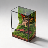 Terrarium de mousse stabilisée, mini paysage artistique dans une boîte en acrylique, mousse séchée naturelle, ornement de bureau, vente en gros, décoration de table pour la maison et le bureau
