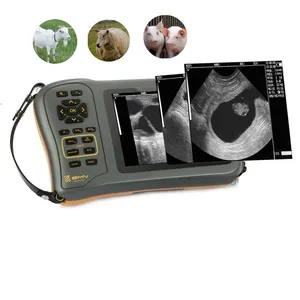 Varkenskoeien Schapen Veterinair B-Type Ultrasone Machine Draagbare Zwangerschap Dierlijke Veterinaire Echografie Machine