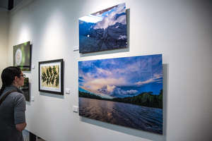 Paneles de exhibición de arte de pared acrílicos con impresión UV a todo color personalizada, impresiones fotográficas acrílicas de Perspex Lucite montadas en la pared - Product Image 6