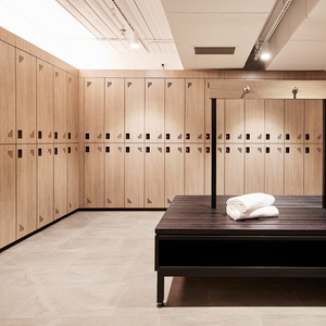 High Technology Modern Sports Gym Cabinets Storage <strong>Lockers</strong> School Metal <strong>Locker</strong> Steel Wardrobe Staff Worker Ski Slope <strong>Lockers</strong>