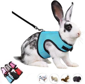 Tali kelinci dan Harness Set melarikan diri bukti, rompi kelinci Set tali kelinci jala tahan melarikan diri latihan berjalan untuk hewan kecil - Product Image 2