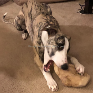 ไม้กาแฟสำหรับเคี้ยวแบบรากเล็กสำหรับสุนัขลดความเครียดของเล่นธรรมชาติและเป็นมิตรกับสิ่งแวดล้อมผู้ผลิตจากเวียดนามราคาถูก - Product Image 1