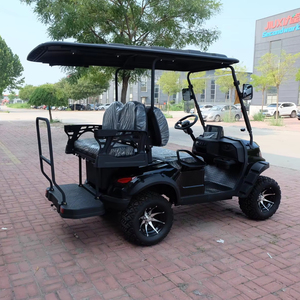Carrito de Golf con Asientos Personalizados de Diseño Profesional y Batería de Litio - Product Image 3