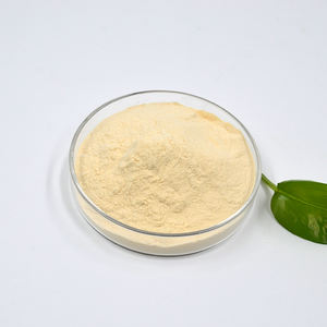 Retardateur 200 P pour les liants à base de gypse au sulfate de calcium pour les pansements auto-nivelants - Product Image 5