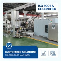 Machine à amidon pré-gélatinisé de grande capacité 1 tonne/h, ligne de production de céréales pour bébés, machine à aliments instantanés pour bébés