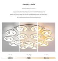 Plafonnier LED intelligent moderne et minimaliste de style nordique à double cercle, en acrylique et métal, forme créative unique pour chambre et salon