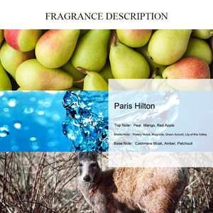 Aroma único <span class=keywords><strong>Paris</strong></span> <span class=keywords><strong>Hilton</strong></span> Perfume aceite concentrado a base de aceite perfumes mayoristas fragancia para mujeres de marca aceites de perfume - Product Image 2