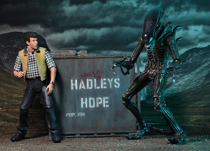 <span class=keywords><strong>NECA</strong></span> 7 Inches 18Cm Chất Lượng Cao Người Ngoài Hành Tinh <span class=keywords><strong>Xenomorph</strong></span> Chiến Binh Hadley Di Chuyển Hành Động Con Số Anime Figas Figma - Product Image 4