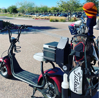 Scooter électrique pliable Loyal 3000W, étanche, avec GPS, deux places pour adultes, chariot de golf Citycoco, batterie au lithium