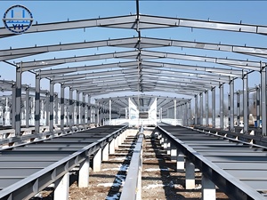 Bâtiment préfabriqué en acier léger pour élevage avicole, atelier à grande portée, entrepôt, bureau personnalisé, usine, hangar en acier - Product Image 5