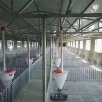 Chine ferme avicole automatique poulailler personnalisé fermer maison bâtiment de ferme pour 40000 poulets