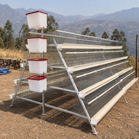 Cage d'élevage avicole pour poules pondeuses, 4 niveaux, 3 niveaux, pour poulets de basse-cour