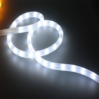 Guirlande lumineuse flexible colorée pour Noël, lumières de fée en tube, décoration de festival, IP67