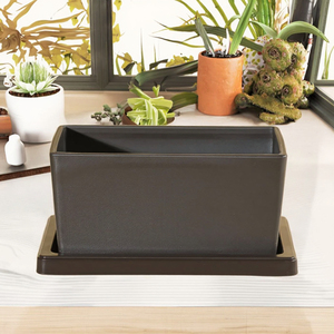 Maceta <span class=keywords><strong>para</strong></span> Suculentas, Pequeña, Profunda, Rectangular, de Plástico, Decoración <span class=keywords><strong>para</strong></span> Hogar/Jardín - Product Image 1