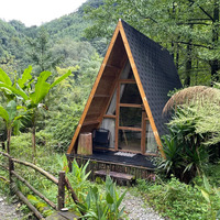 Kit de maison modulaire en bois de couleur, design moderne de luxe, forme triangulaire, panneau sandwich, écologique, pour habitation