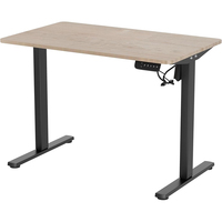 Bureau debout personnalisable avec échantillon gratuit, table d'ordinateur de bureau réglable en hauteur électriquement avec double moteur