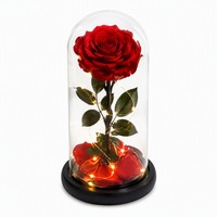 Rose éternelle préservée en dôme de verre, coffret cadeau de rose véritable pour la Saint-Valentin, anniversaire