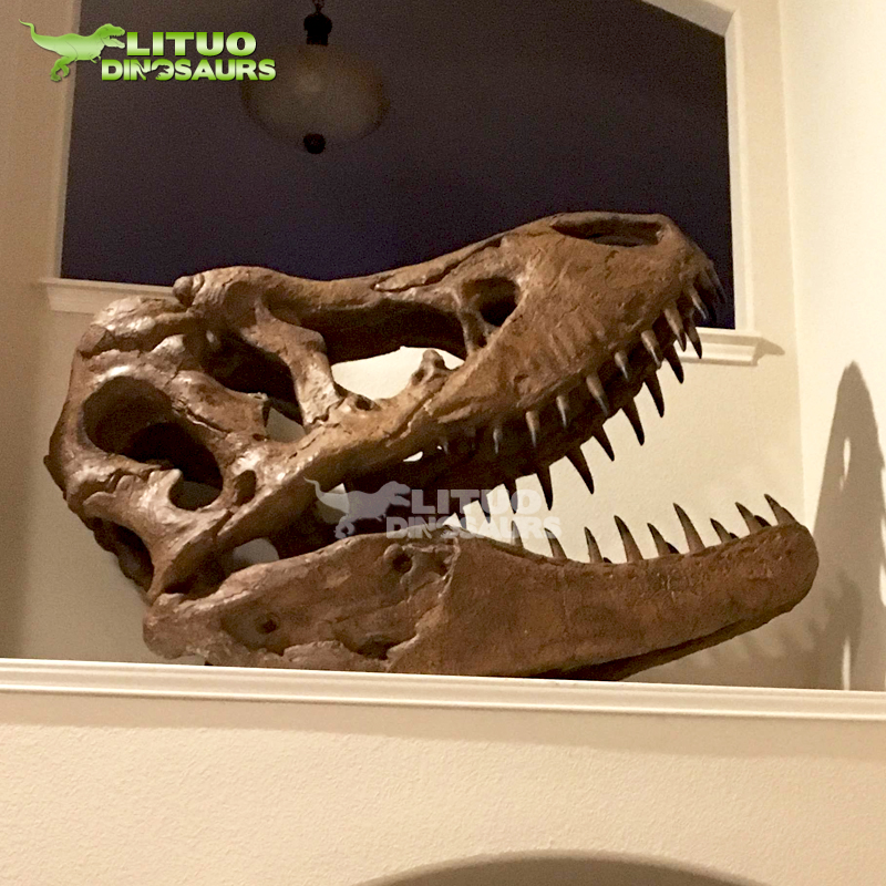T-rexの等身大恐竜の頭蓋骨| Alibaba.com