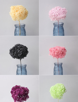 Bunga Hydrangea Kering Berkualitas Tinggi 20cm untuk Dekorasi Rumah, Bunga Kering untuk Pernikahan, Tanaman Kering, Batang Bunga, Hari Valentine, Wisuda, Tahan Lama