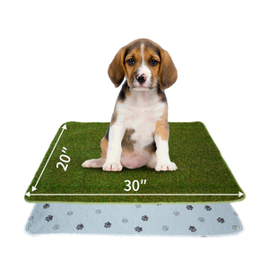 Tapis rafraîchissant <span class=keywords><strong>sur</strong></span> mesure pour chiens, en <span class=keywords><strong>gazon</strong></span> artificiel, pour l'apprentissage de la propreté, tapis de voyage pour chiens, utilisation intérieure et extérieure - Product Image 1