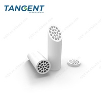 Filter Membran Keramik Mikrofiltrasi Ultrafiltrasi Biaya Rendah TANGENT dengan Housing untuk Pengolahan Aliran Industri 1000L/Jam
