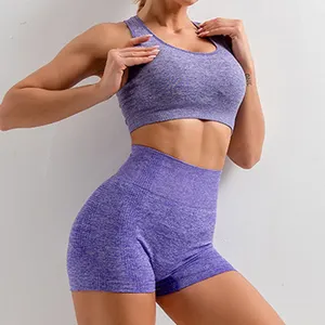 Conjunto deportivo sin costuras para mujer, pantalones de Yoga de cintura alta, de nailon y licra, con logotipo personalizado, novedad