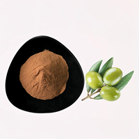 Offre Spéciale : Extrait Naturel de Feuille d'Olivier Sauvage (Olea Europaea L.) – Poudre d'Extrait de Feuille d'Olivier de Qualité Alimentaire Supérieure (Oleuropeine) – Direct Usine