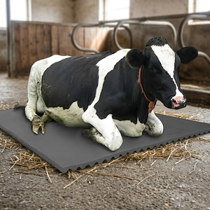 Lightweight EVA Rubber Cow Mat High Elasticity Stable <b>Flooring</b> Anti Slip Waterproof Dairy Farm <b>Mattress</b> Durable Livestock Beddi - Product Image 4