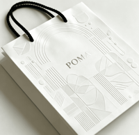 Bolsa de Regalo de Papel con Asas de Cuerda de Algodón, Impresión de Logotipo Personalizado, Ecológica, con Estampado Dorado en Relieve, para Promoción
