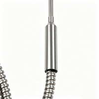 Tube de raccordement pour thermocouple, sonde en acier inoxydable à tige ultra longue, transducteur de température industriel avec câble tressé