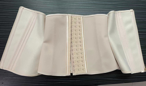 Venta al por mayor corsé para mujer cremallera frontal y gancho debajo del pecho corsé Top vaina térmica <span class=keywords><strong>faja</strong></span> adelgazante de talla grande - Product Image 6