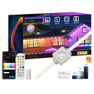 Décoration de Noël Lampe 24V Pixel Adressable Running Effect <span class=keywords><strong>Selfie</strong></span> Réaliser Maison Décoration Pixel Led Chaîne - Product Image 6