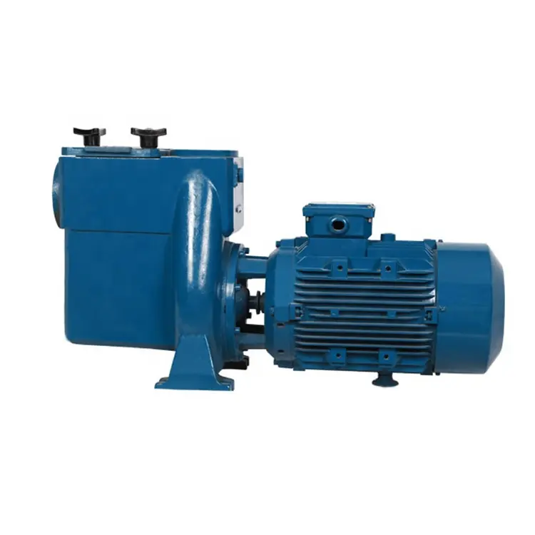 5.5 hp endless electric water pump for swimming pool