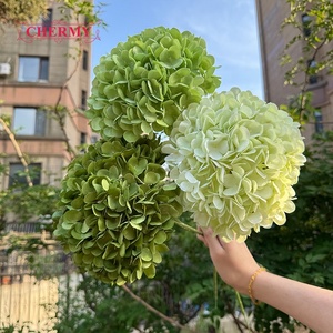 DC211 New <strong>Artificial</strong> <strong>Flowers</strong> Wholesale High Quality Hydrangea Big Head Silk White Green Hydrangea <strong>Flower</strong> for Wedding Decor - Product Image 1