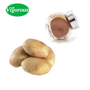 Solanum tuberosum p.e/extrait Pur Naturel poudre D'extrait de Patate/10:1 Extrait de pomme de terre