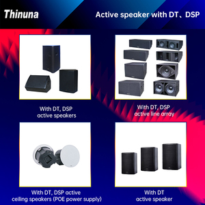 Sistema de megafonía Thinuna, potente altavoz de matriz de línea interior activo bidireccional de 8 pulgadas para discotecas, altavoz activo con DSP y Dante - Product Image 2