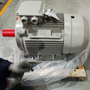 Motore a induzione trifase da 15 kW, 400 <span class=keywords><strong>V</strong></span>, 50 Hz, per attuatore HVAC, attuatore serranda, unità di trattamento aria e controllo ventilazione - Product Image 2